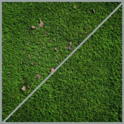 Bürste SOFT (Holz, Kunstrasen) -Gartenwerkzeuge Geschäft detail image 2554