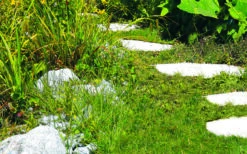 GC-CG 3,6 Li 11 GC-CG 3,6 Li -Gartenwerkzeuge Geschäft example usage 357