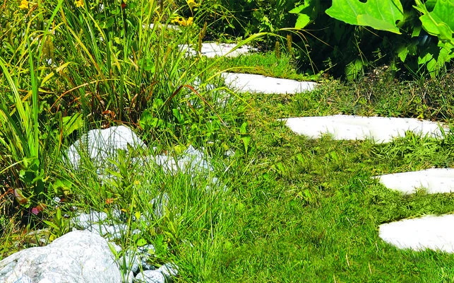 GC-CG 3,6 Li 6 GC-CG 3,6 Li – Bild 6