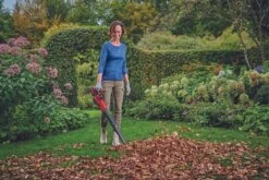 GE-UB 18/250 Li E-Solo 17 GE-UB 18/250 Li E-Solo -Gartenwerkzeuge Geschäft example usage 387