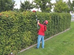 GE-HC 18 Li T-Solo 24 GE-HC 18 Li T-Solo -Gartenwerkzeuge Geschäft example usage 432