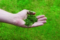 GE-CM 36/43 Li M-Solo -Gartenwerkzeuge Geschäft example usage 501