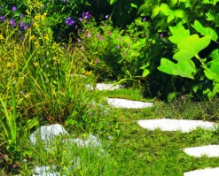 GE-CG 12 Li WT -Gartenwerkzeuge Geschäft example usage 550