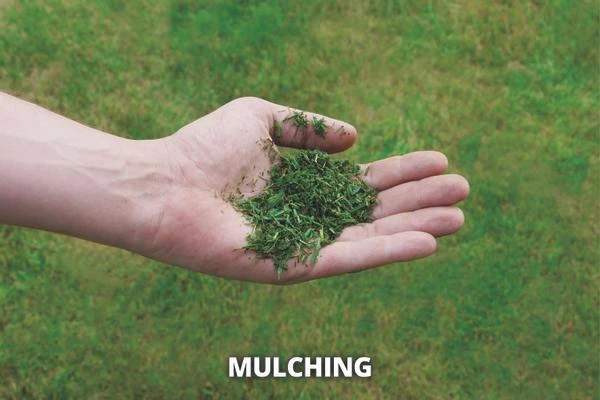 GE-CM 43 Li M Kit (2x4,0Ah) 8 GE-CM 43 Li M Kit (2x4,0Ah) – Bild 8