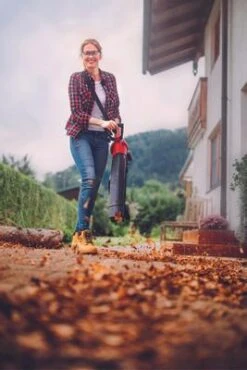 GE-CL 36 Li E-Solo -Gartenwerkzeuge Geschäft example usage 612