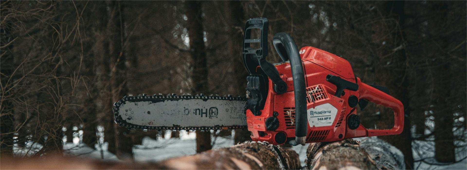 Gartenwerkzeuge Geschäft -Gartenwerkzeuge Geschäft rk kuva rGfmRrmi77g unsplash